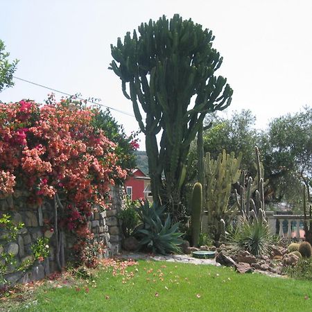 Cà dei Conti San Bartolomeo Al Mare Quarto foto