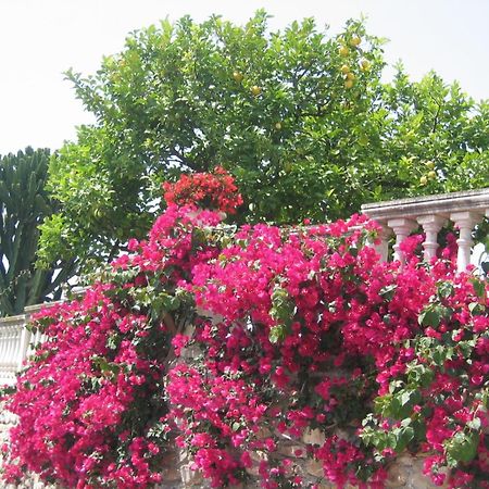 Cà dei Conti San Bartolomeo Al Mare Quarto foto