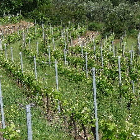 Cà dei Conti San Bartolomeo Al Mare Quarto foto