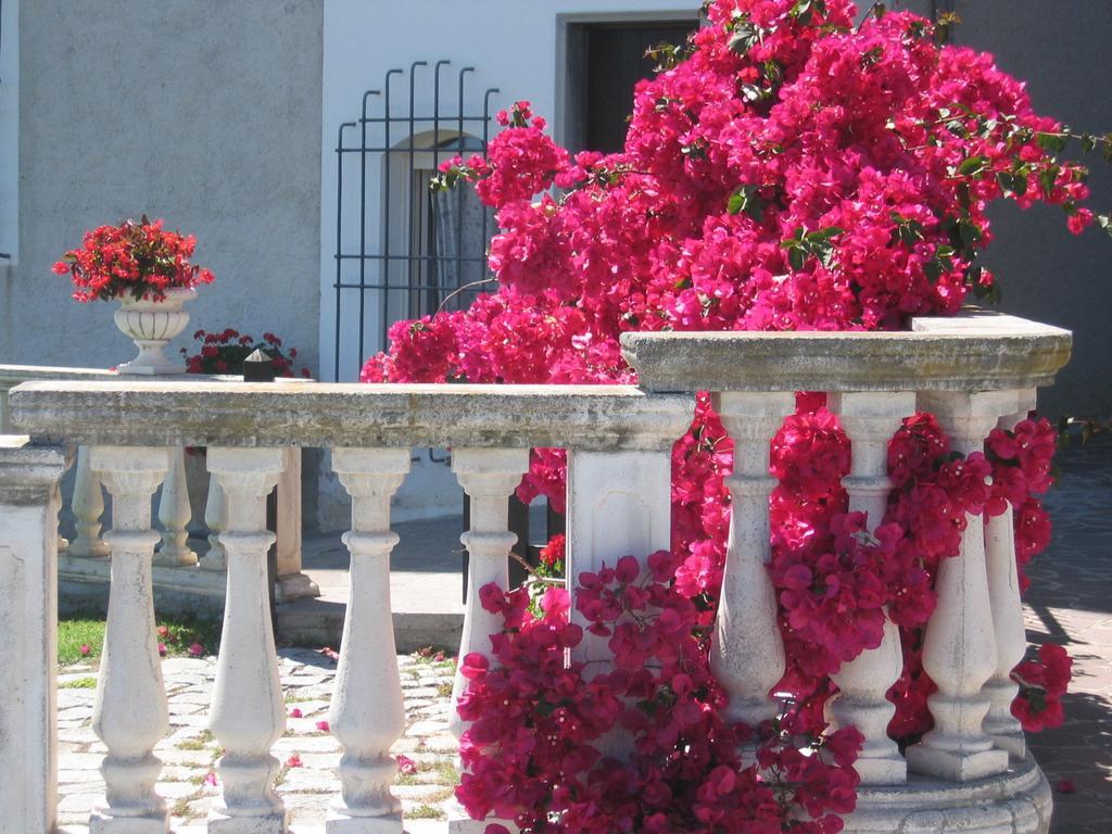 Cà dei Conti San Bartolomeo Al Mare Quarto foto